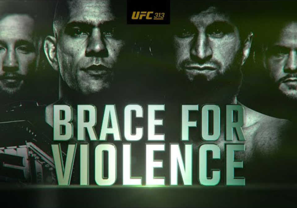 UFC 313 Preview