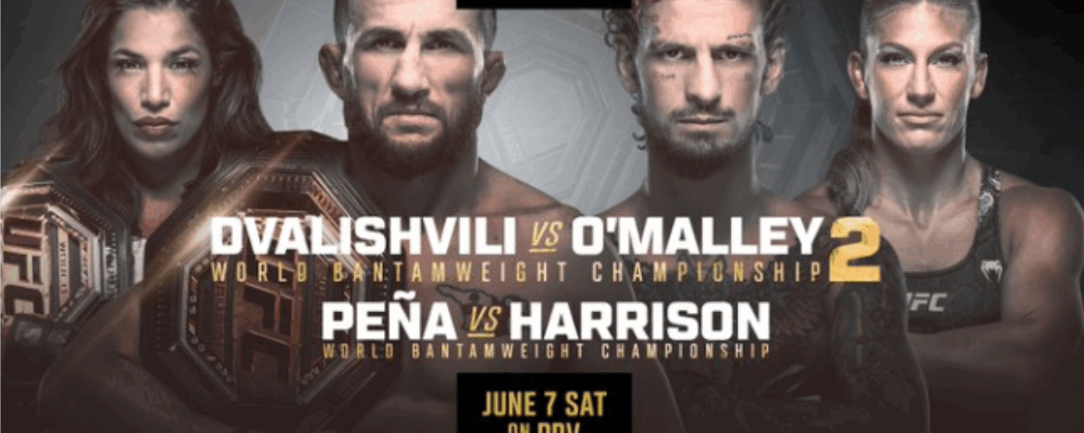 UFC 316 Preview